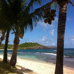 Quelle célébrités habite saint barth ?