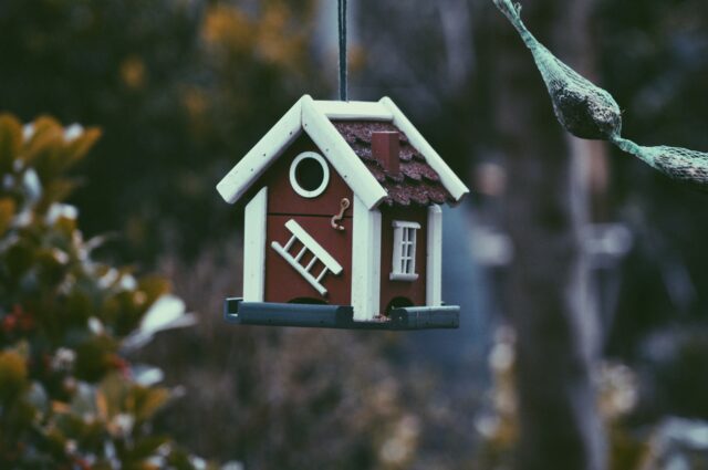Nichoirs pour oiseaux
