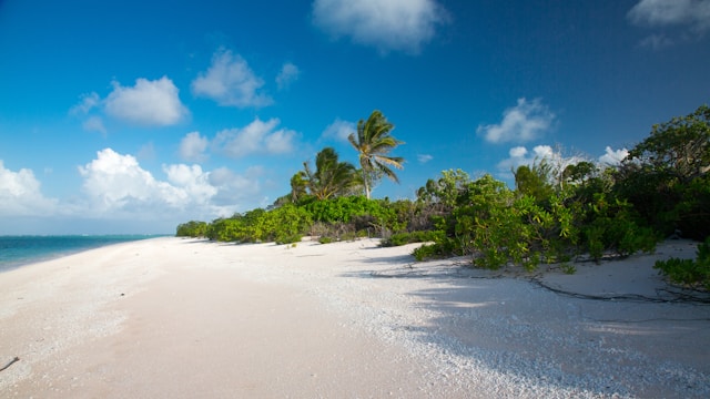 Pourquoi les îles Marshall devraient-elles être votre prochaine destination de voyage?