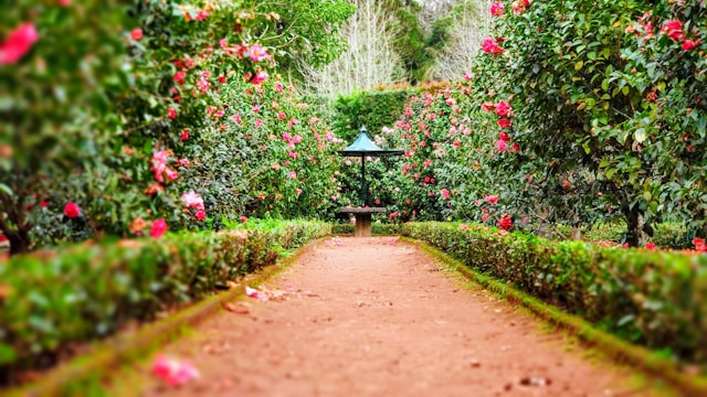 jardin écologique