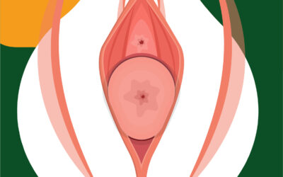 prolapsus génital