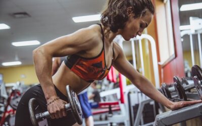 Exercices musculation
