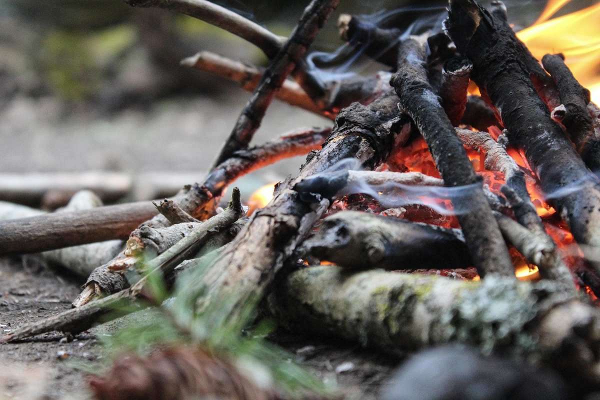 Feu de camp actif avec bois enflammés et braises orange rougeoyantes