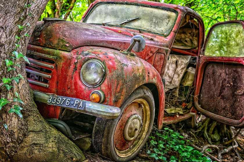 Voiture ancienne rouillée dans la forêt, près d'un arbre, porte ouverte