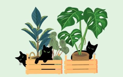 Chat qui grignote les plantes : pourquoi il le fait et quelles plantes sont toxiques