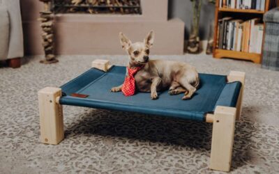 Pourquoi un panier en pin massif aide votre chien à réguler sa température