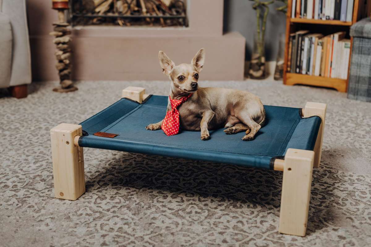 Panier en pin massif : aide votre chien à réguler sa température
